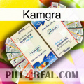 Kamgra kamagra1